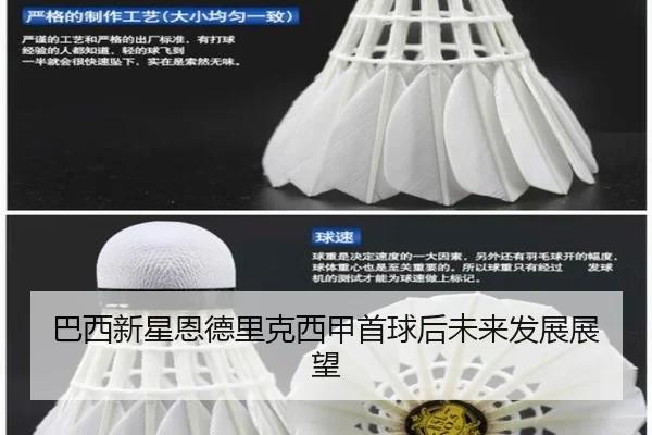 巴西新星恩德里克西甲首球后未来发展展望（VSports）